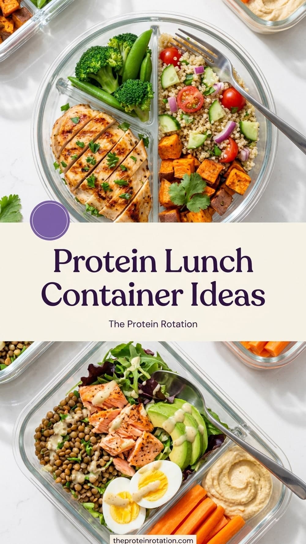 Protein Lunch Container Ideas