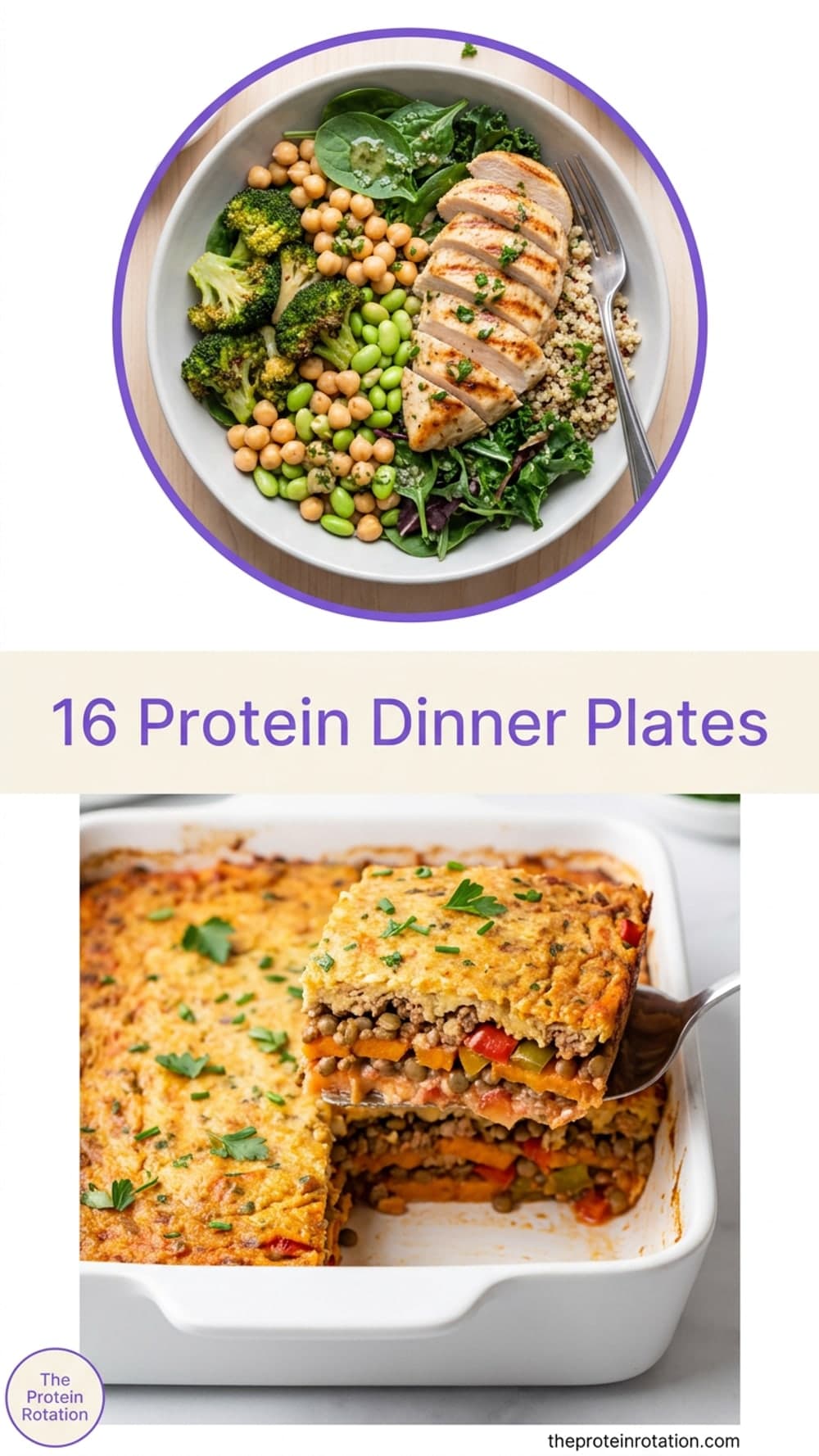 16 Protein Dinner Plates
