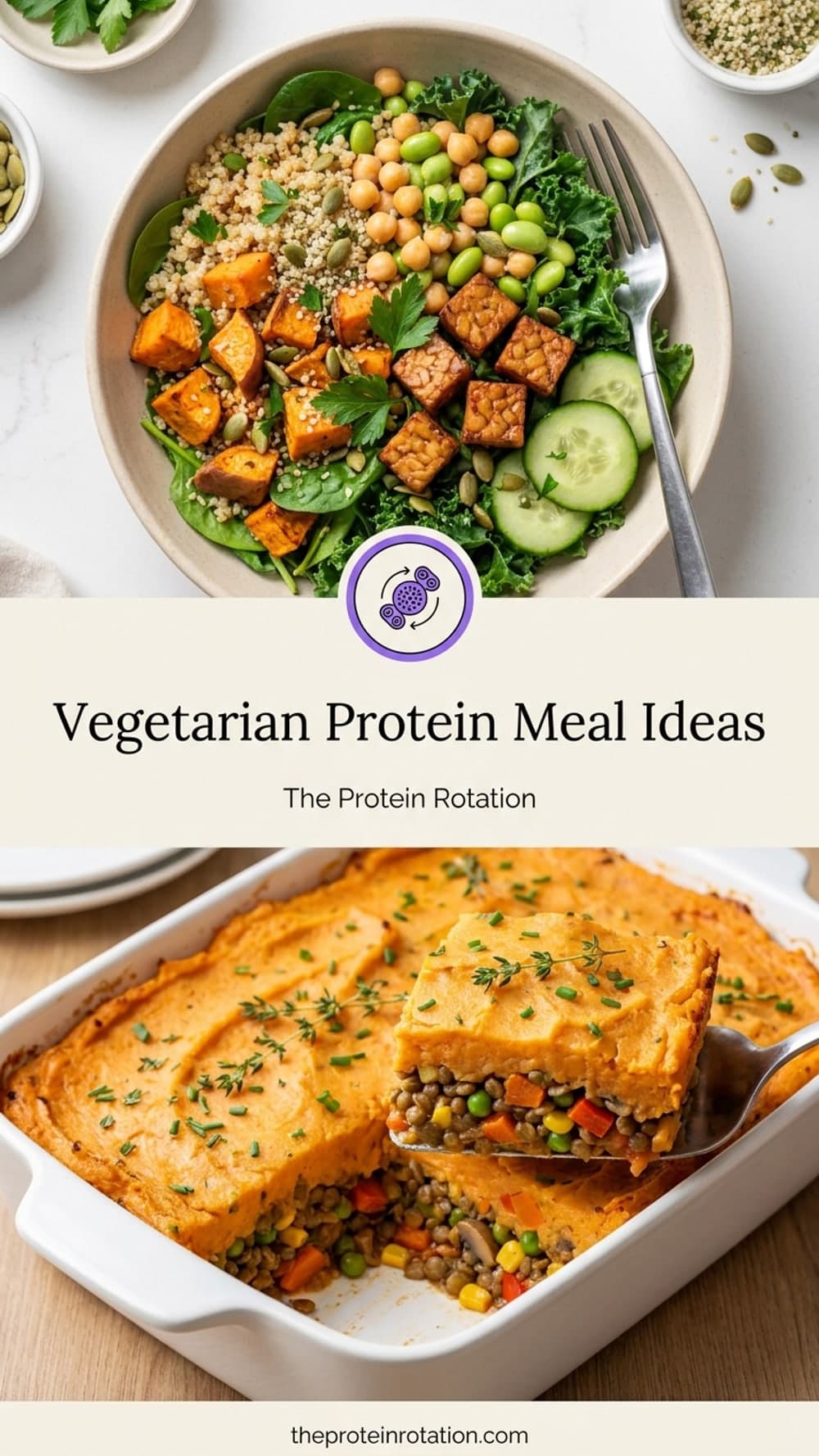 Vegetarian Protein Meal Ideas